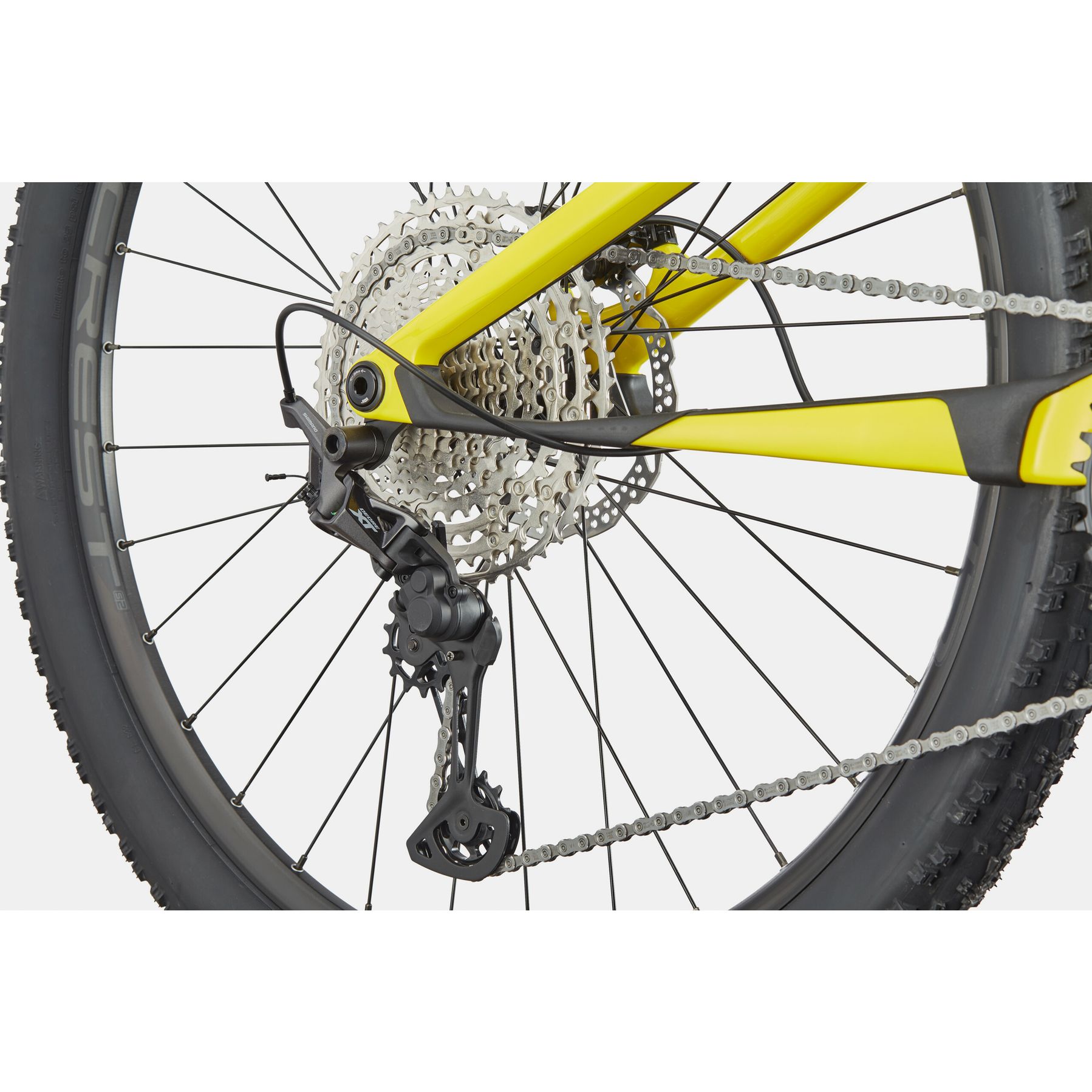 Cannondale Scalpel Carbon 4 2025