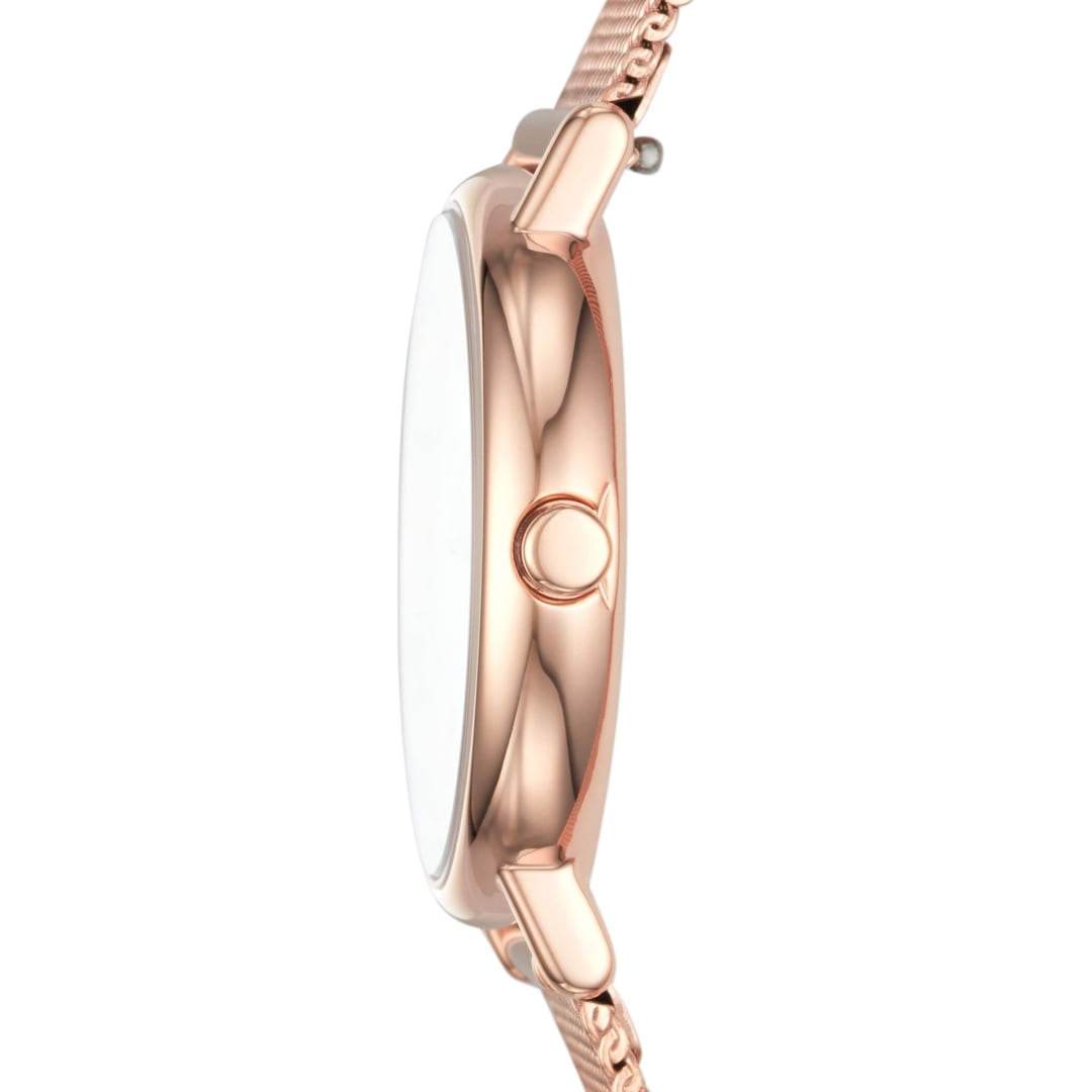 Skagen Signatur Ø 30