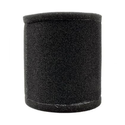 Filtre à air Emgo Type Adaptable