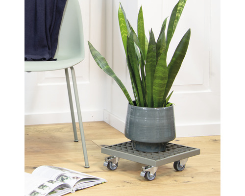 Wagner plantenwagen 29 x 29 x 9,5 cm metaal groengrijs