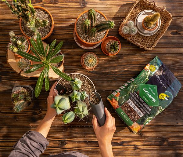 LECHUZA® CACTUSPON Pflanzsubstrat