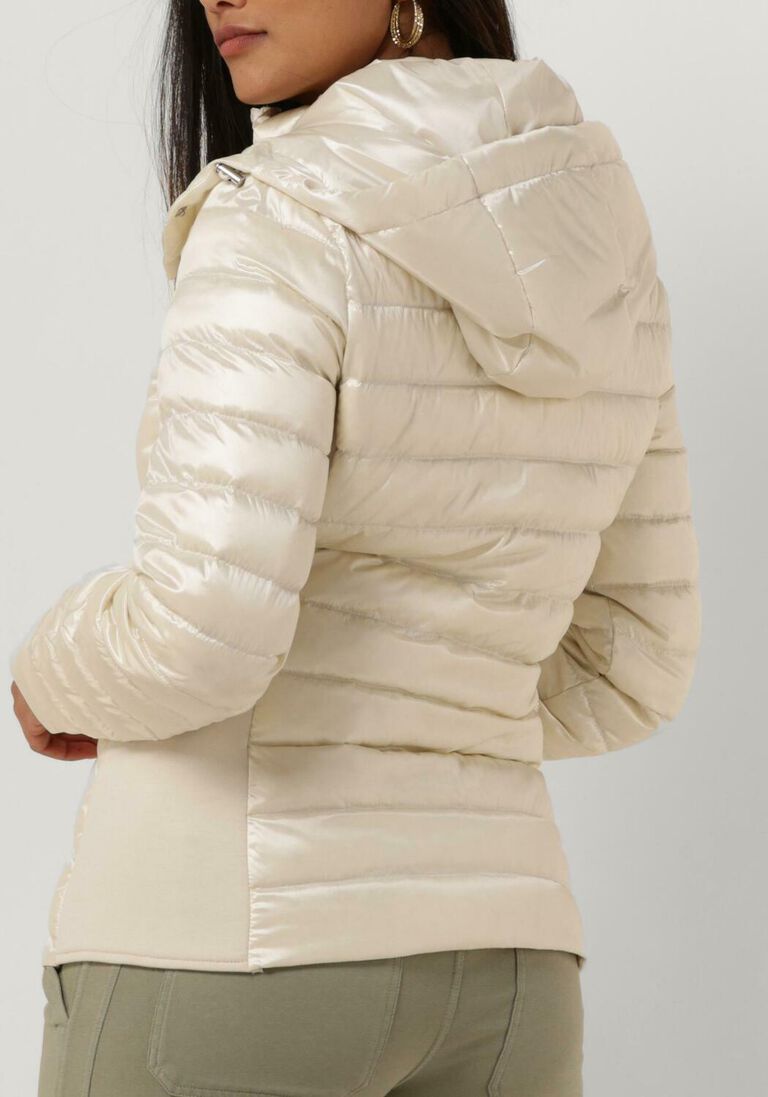 witte beaumont jack devi