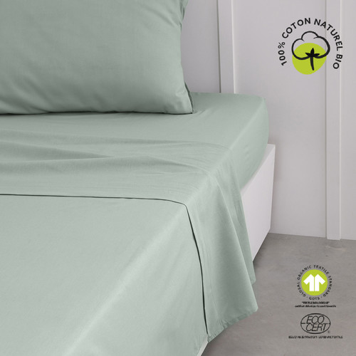 Today - ORGANIC CELADON - Celadon