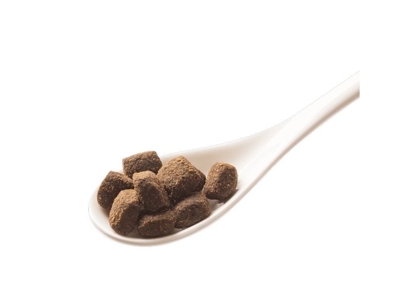 GranataPet Trockenfutter Natural Taste Wild & Büffel 12 kg Alleinfuttermittel für ausgewachsene Hunde