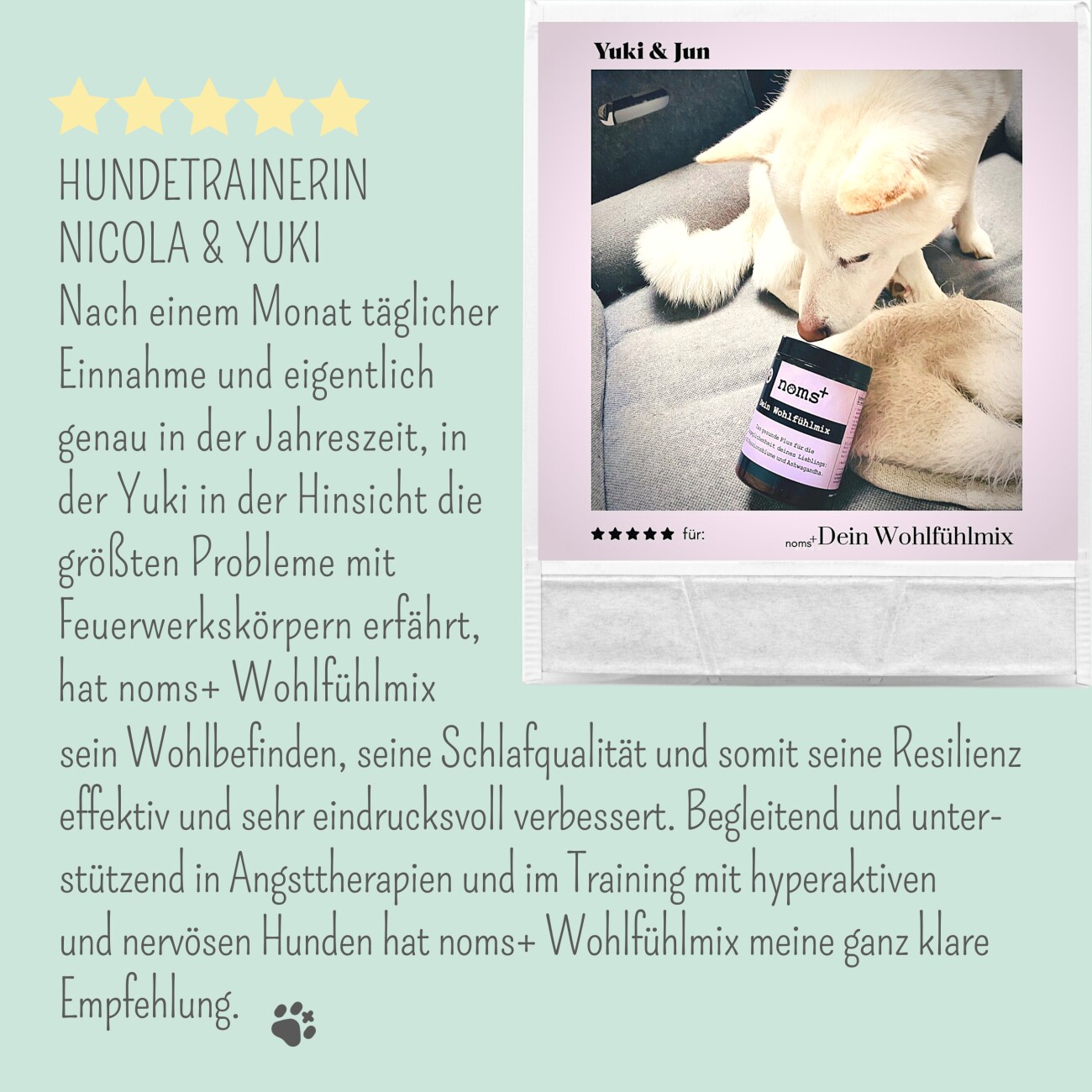 noms+ Wohlfühltabs für Hunde bei Stress & Angst 110g