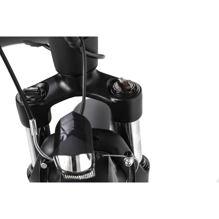 Adore Pedelec E-Bike Cityfahrrad 28'' Adore Versailles schwarz-grün schwarz