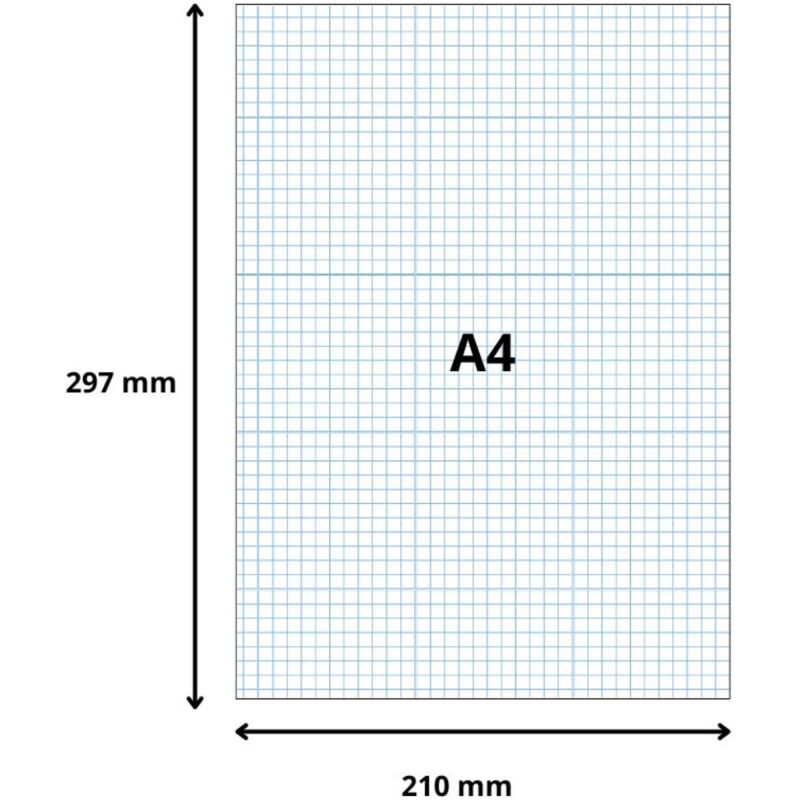 Fiche bristol 210 x 297 mm quadrillée 5 x 5 blanche non perforée Exacompta - Boîte de 100