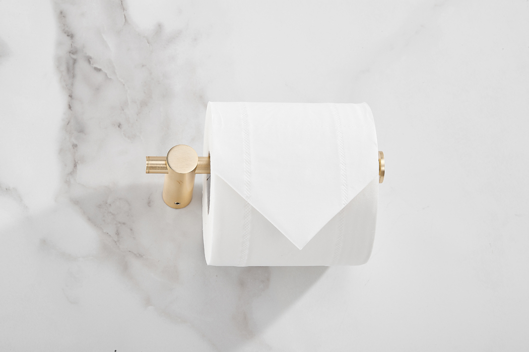 Saniclear Academy toilet rolhouder geborsteld messing mat goud