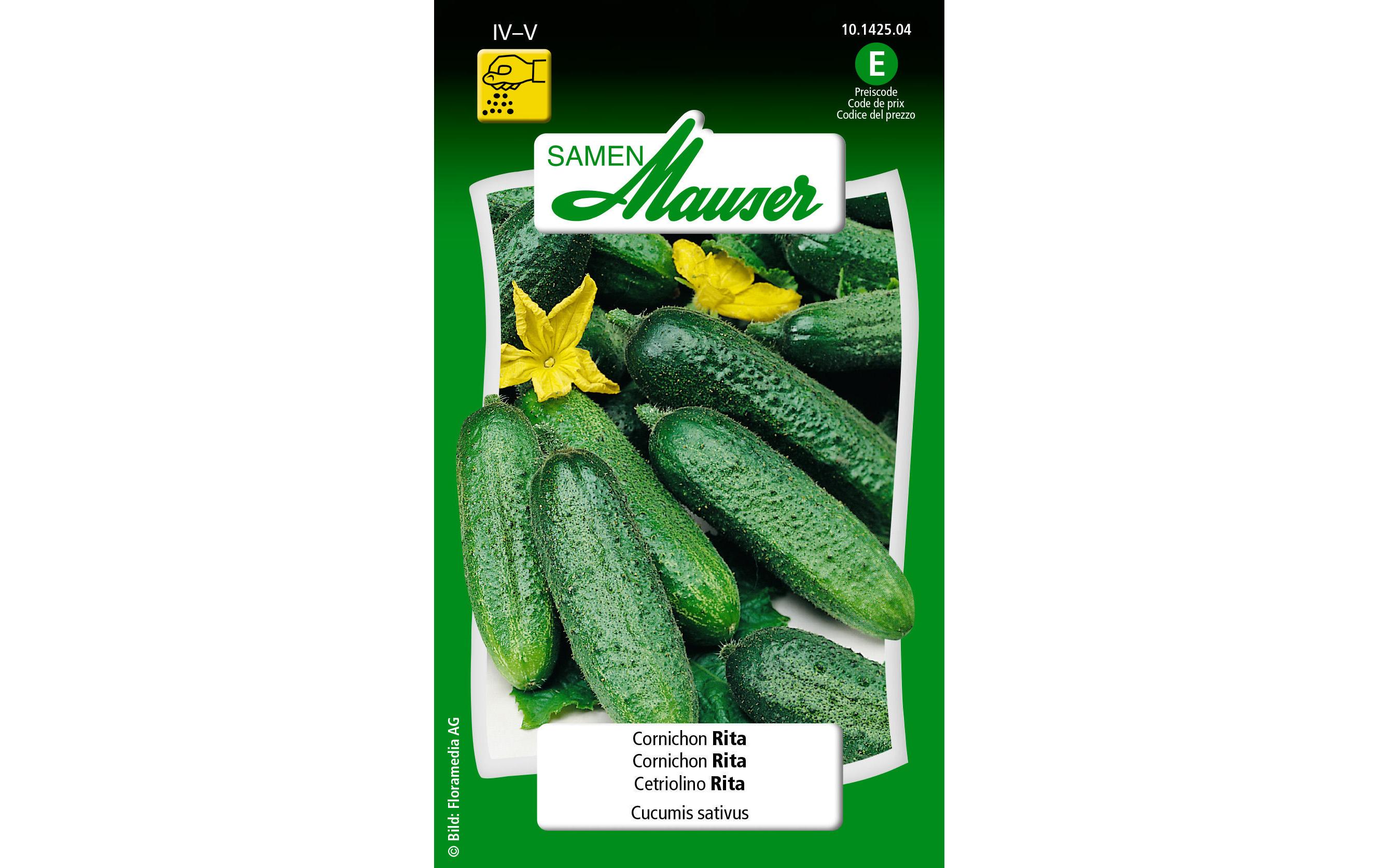 Samen Cornichon RitaGemüsesamen