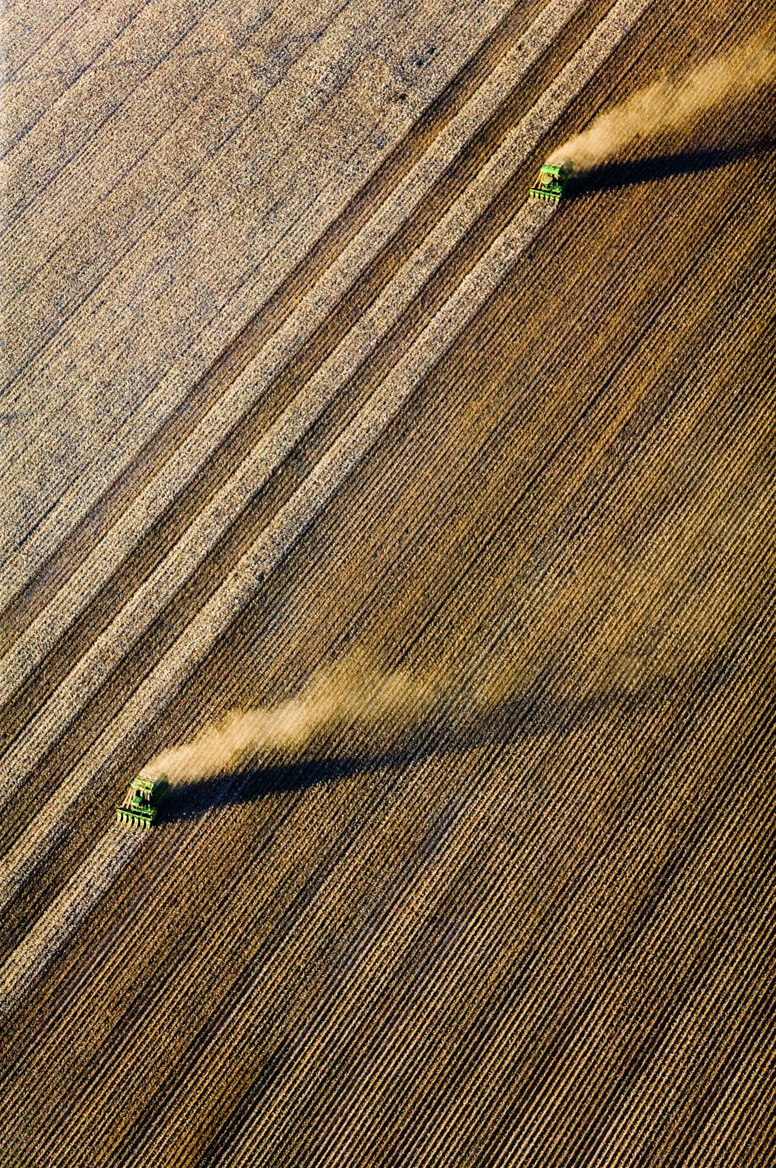 Cotton Harvesting, Buckeye, Arizona by Alex Maclean - Limited Edition. Edition of: 100. Signed.