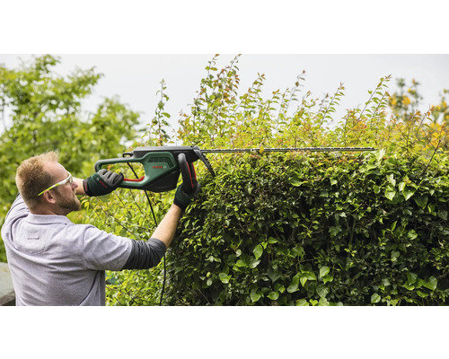 BOSCH AdvancedHedgeCut 70 elektrische heggenschaar inclusief verzorgingsspray en handschoenen