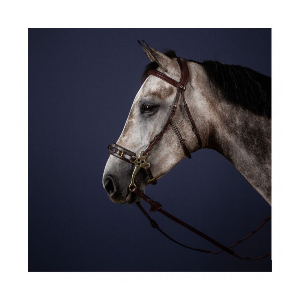 Dy'on NEW ENGLISH COLLECTION - Bridon hackamore brun