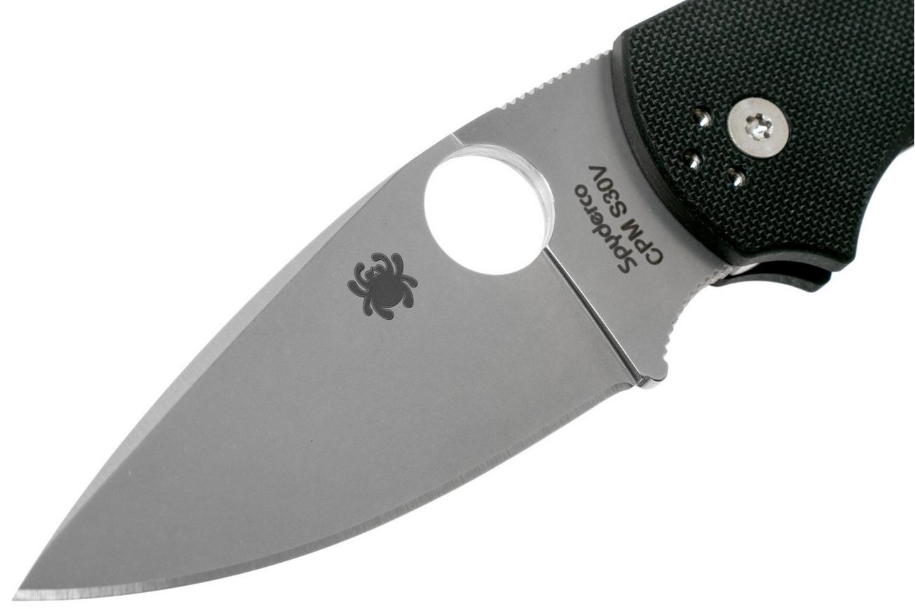 Spyderco Native 5 C41GP5 zakmes