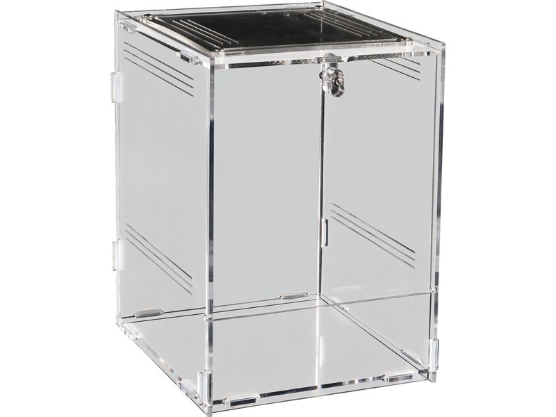 Repto Terrarium Plexi, 15 x 17 x 22 cm Terrarium für kleinere Terrarientiere