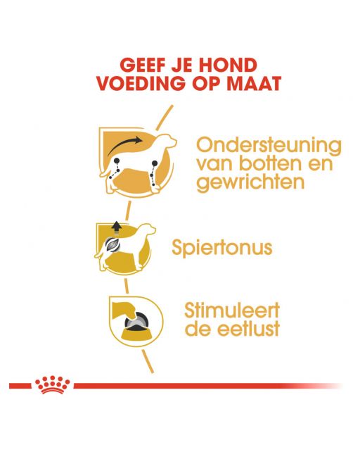 Royal Canin Dachshund Adult Natvoer - Hondenvoer - 85 g