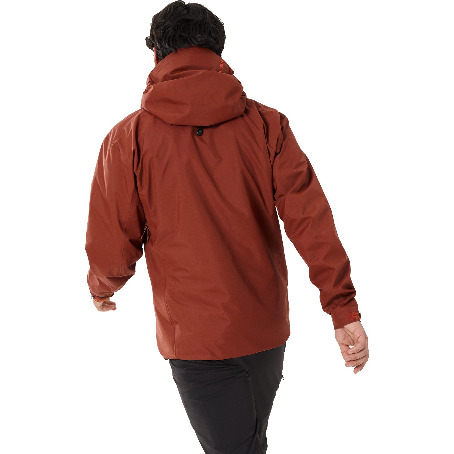 Arc'teryx Beta SL GORE-TEX® Hardshelljacke Herren sequoia