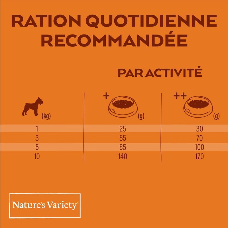 Nature's Variety Original No Grain Mini Adult saumon