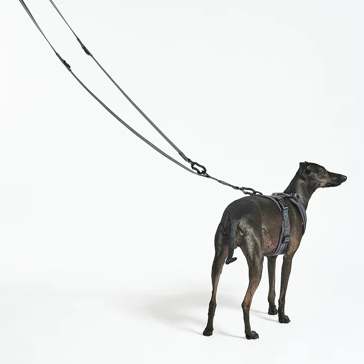 MiaCara - Modena Hundegeschirr XS, greige