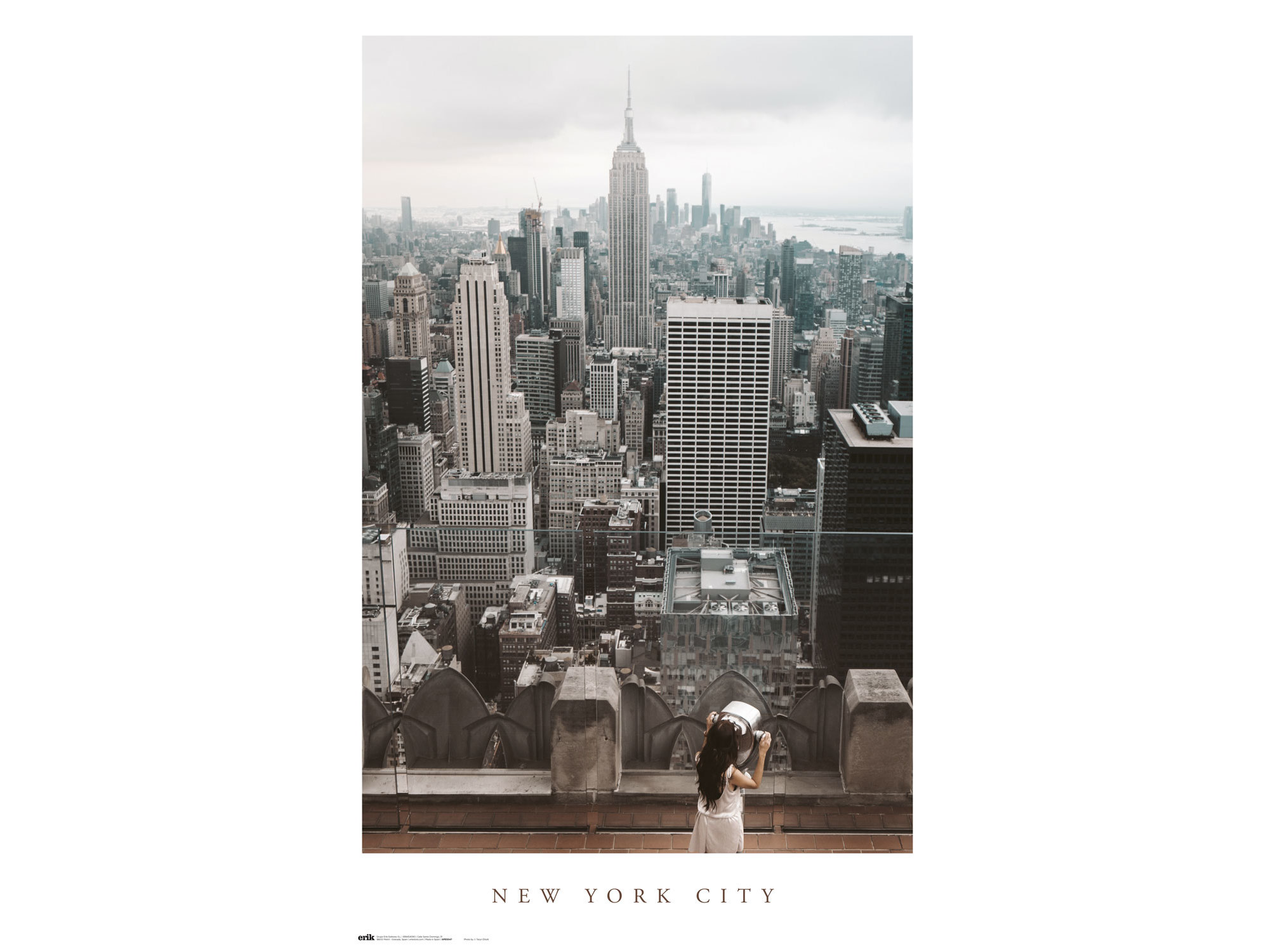 POSTER NOVA YORK CITY ERIK