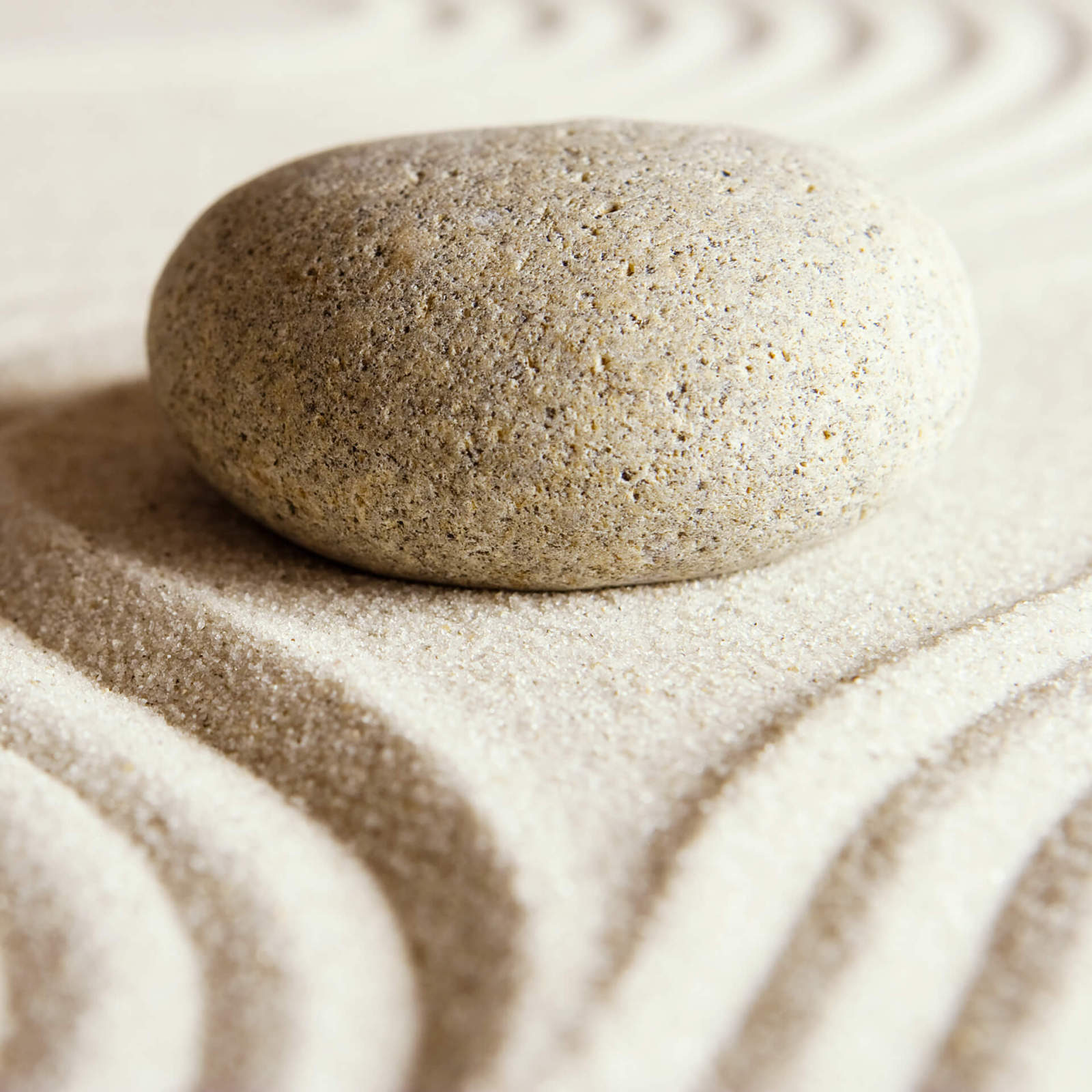 Leinwandbild STEIN AM STRAND - beige - 50x50 cm