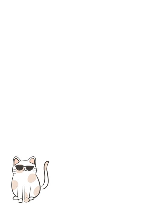 Greetz | Nieuwe baan | kat | zonnebril