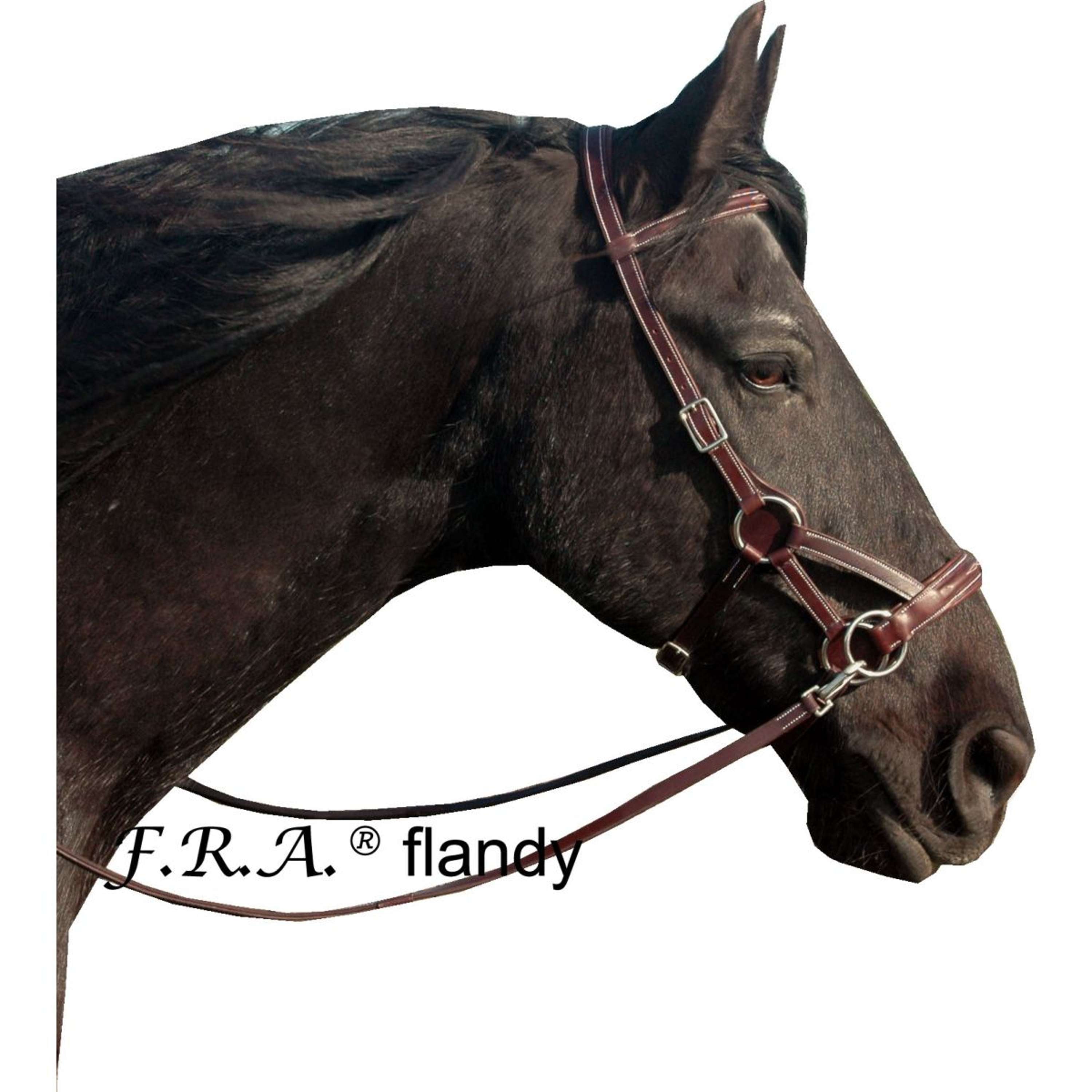 F.R.A. Bitloos Hoofdstel Flandy Side Pull Rubbergrip Lederen Teugel Br