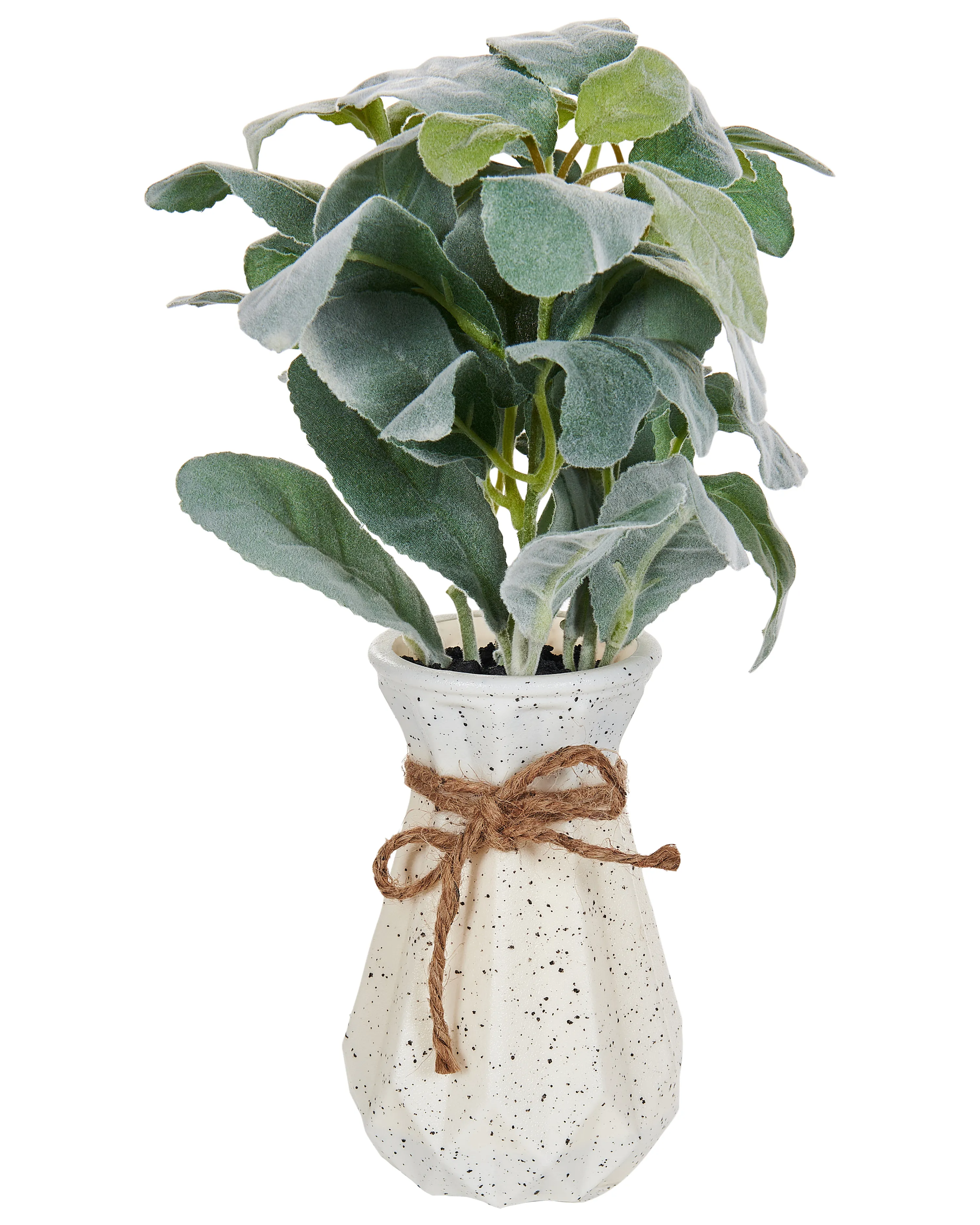 Kunstplant PEPEROMIA ARGYREIA 30 cm Groen