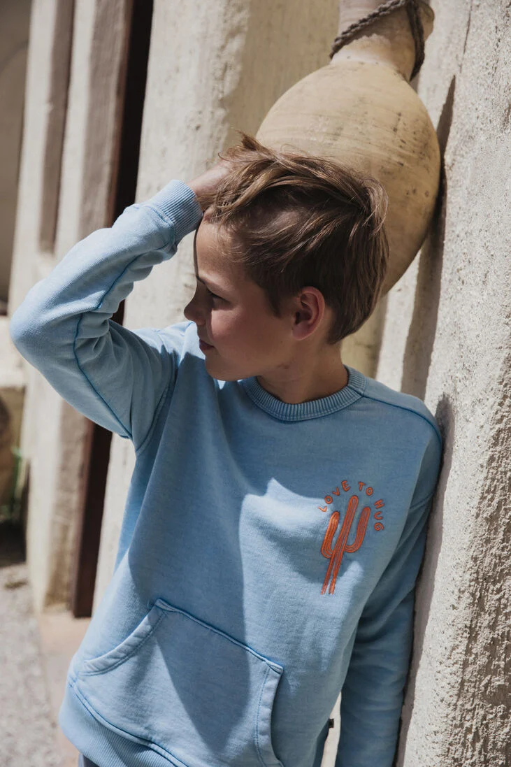AMMEHOELA lichtblauwe ammehoela sweater am.rocky.47