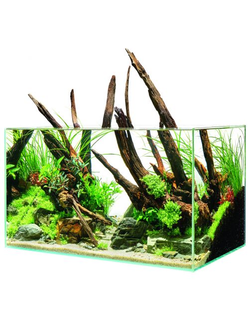 Oase Scaperline 60 Aquarium - Aquaria - 60x35x35 cm