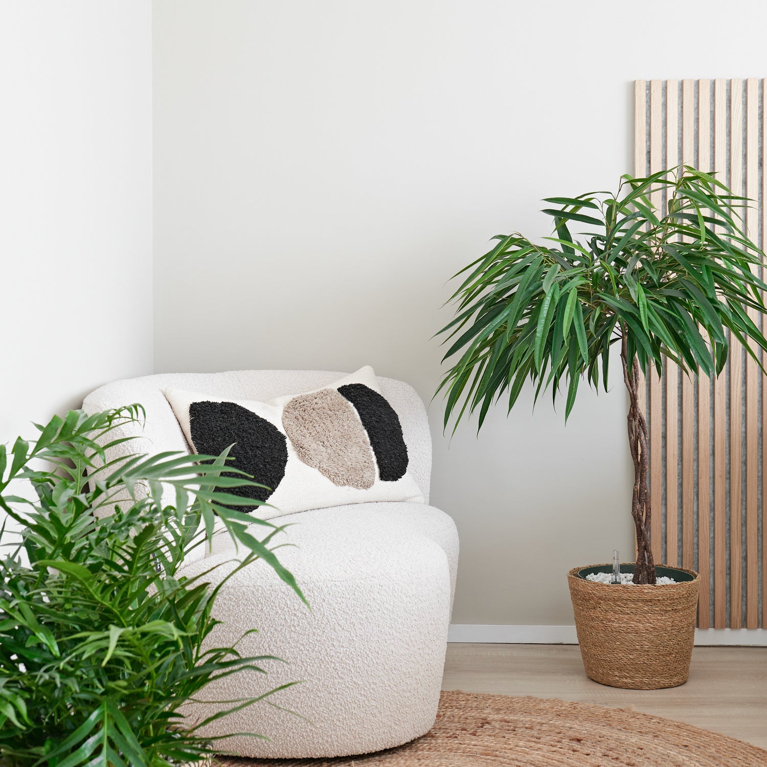 Rubberboom (Ficus binnendijkii 'Alii') D 27 H 120 cm