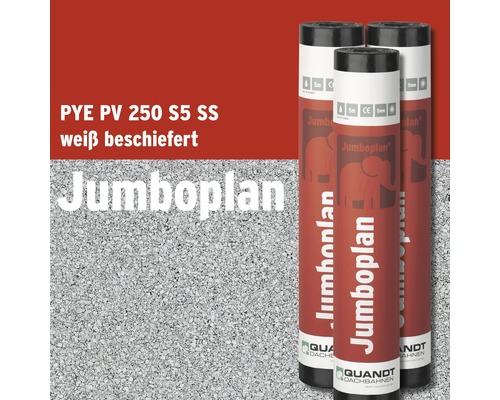 Quandt Bitumen Lasmembraan Jumboplan® PYE PV 250 S5 leisteen gecoat wit 5 x 1 m rol = 5 m²