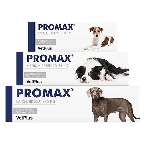 Vetplus Promax Spijsvertering Hond | 9 ml - kleine rassen  | 11002