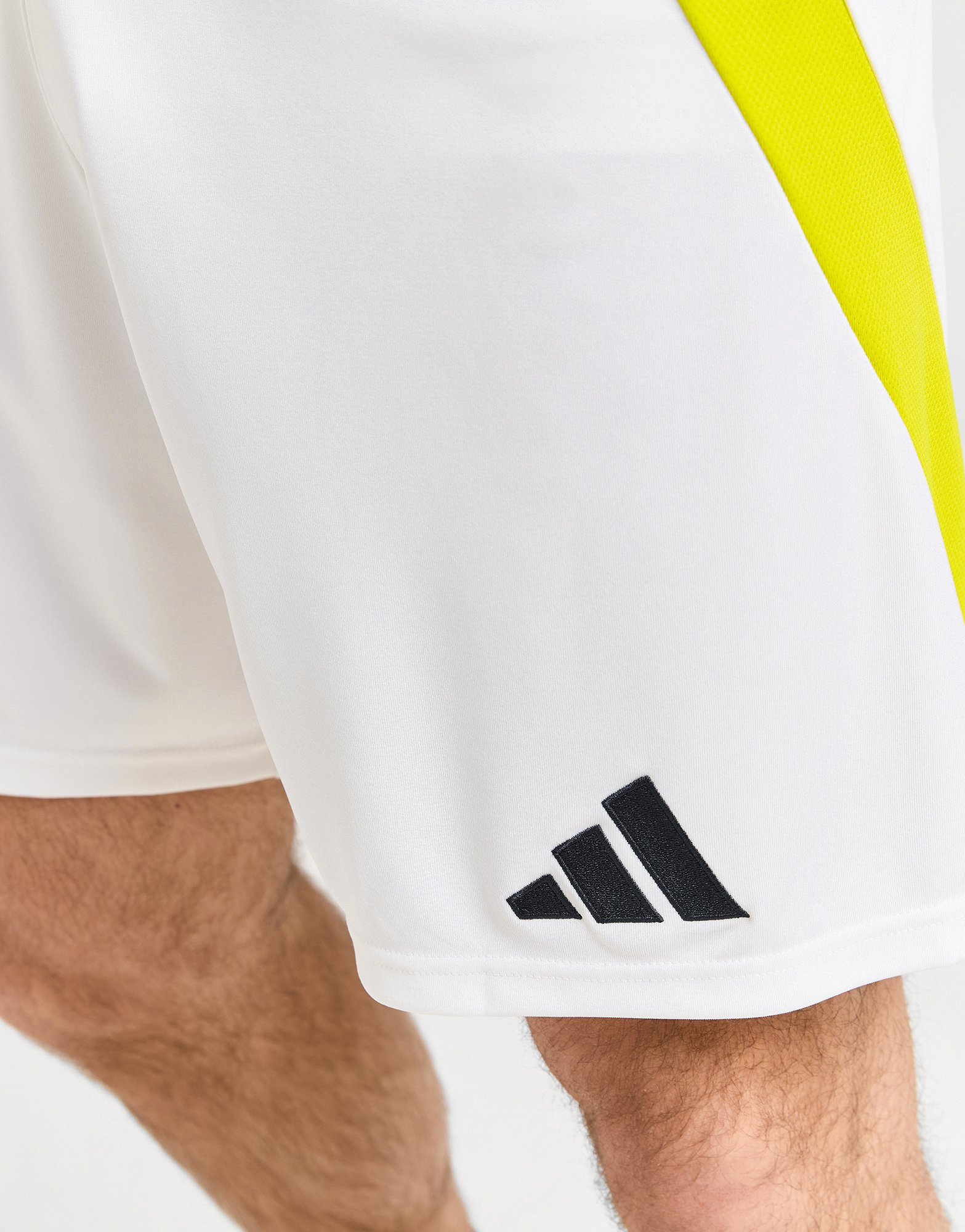 adidas Short Ecosse 2024 Match Domicile Homme
