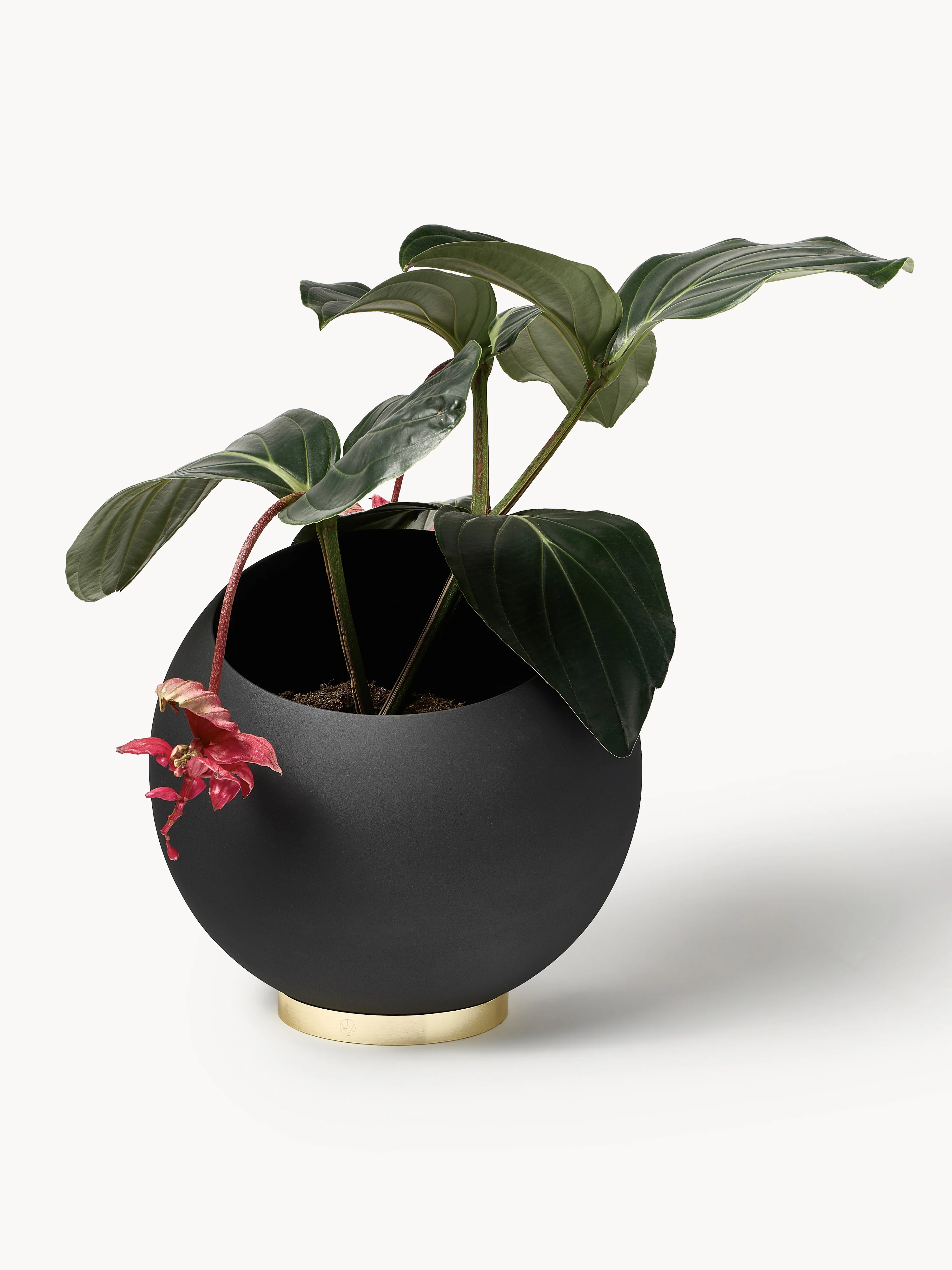 Plantenpot Globe van metaal