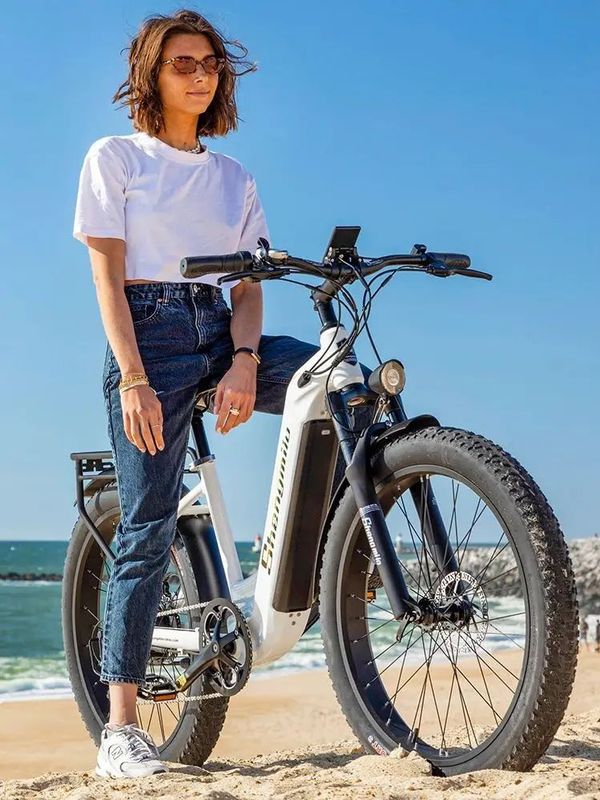 Shengmilo MX06 - Elektrische Fiets - 48V 17.5AH Batterij - Fat Tire - E-Mountain Ebike