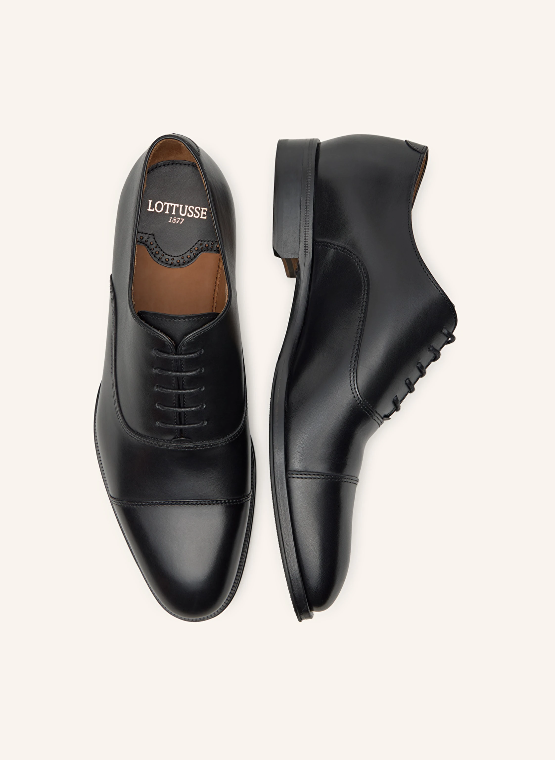 LOTTUSSE Oxfords LENOX