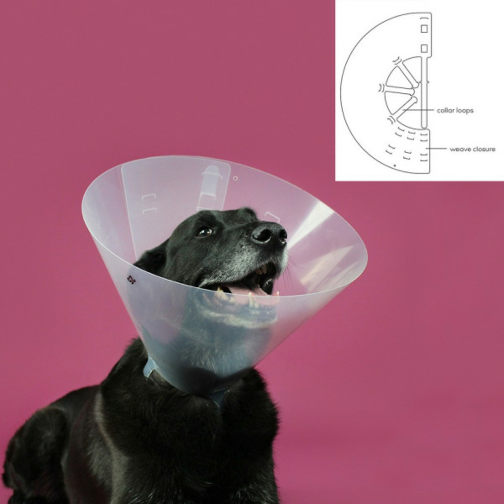 Collier de protection isabelino pour chiens betsy transparent (45-56 cm)