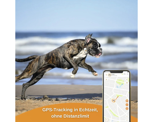 GPS tracker weenect voor honden, 28 g, 6 x 2,4 x 1,5 cm, wit