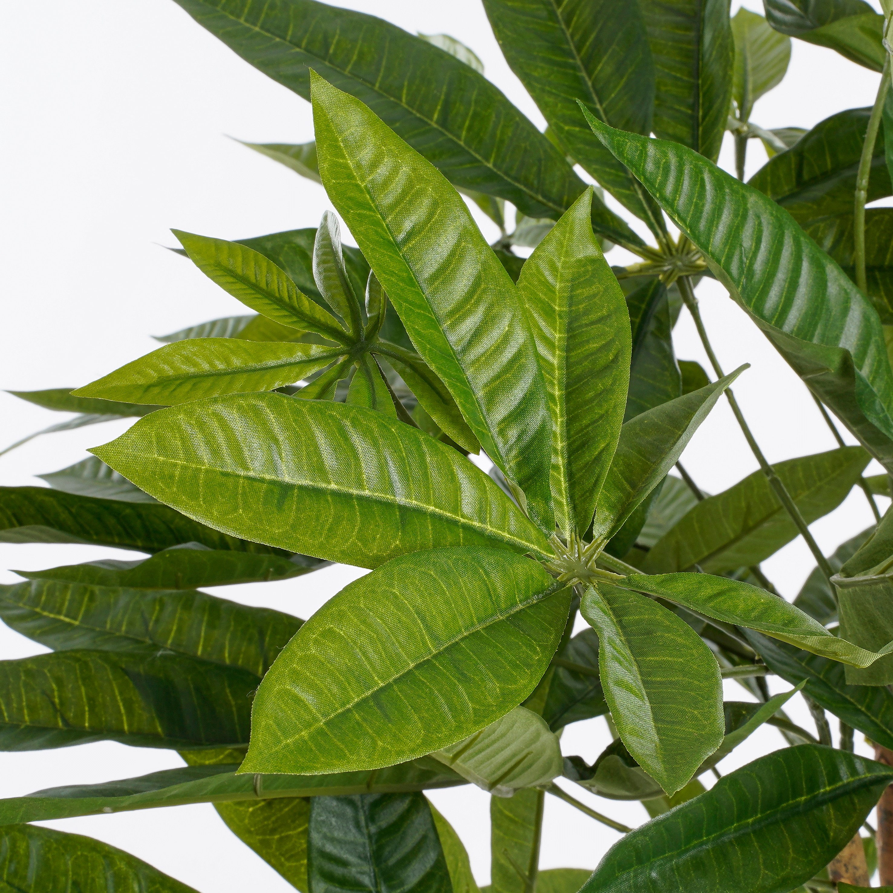 Mica decorations - pachira artificielle en pot h80