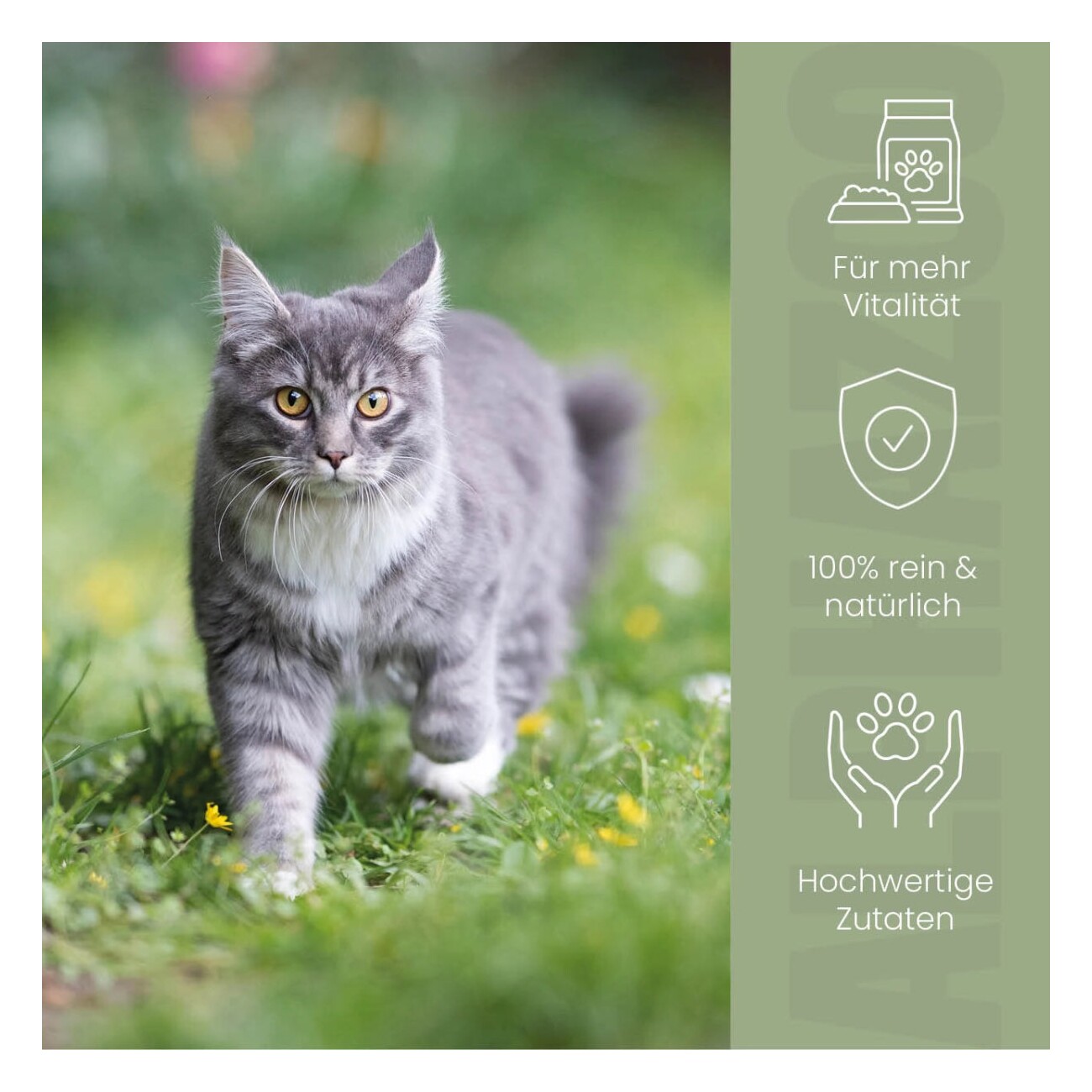 ALPHAZOO Alpha-Immun Futteröl für Katzen