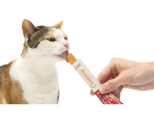 Kattensnack Cat It Creamy Tuna 4-pack 40g