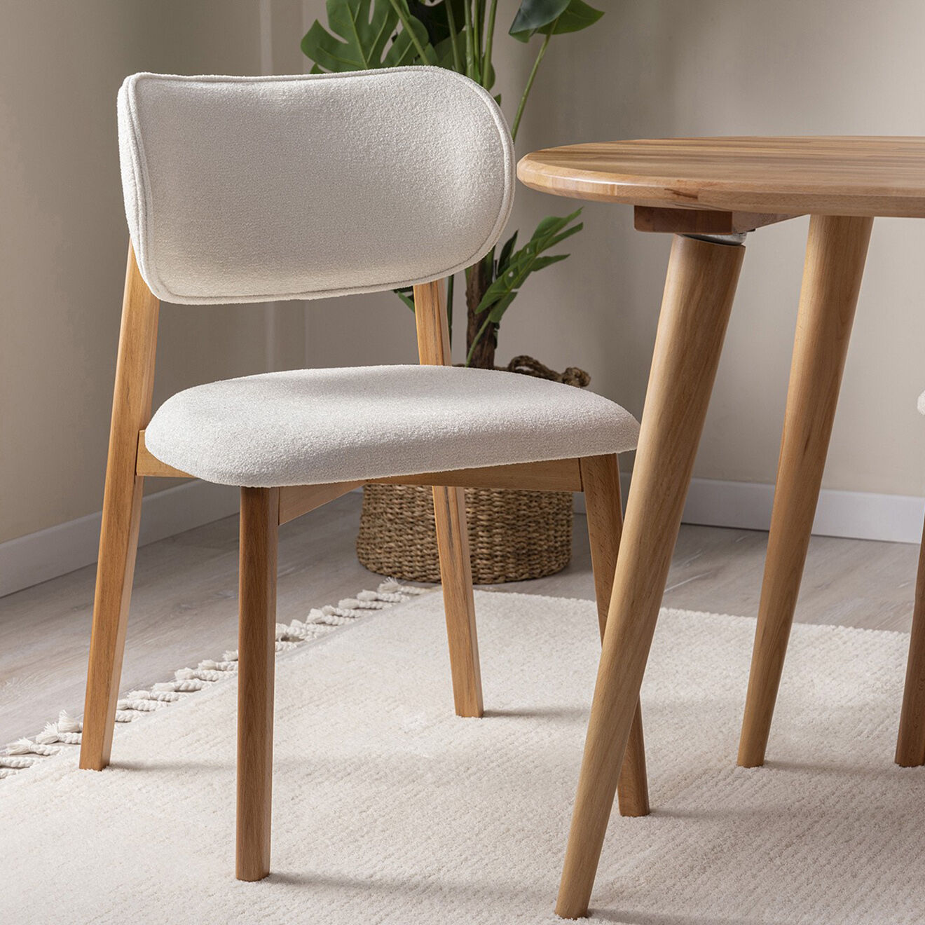 Homitis 2 Chaises Soli hêtre - 50x50x84 cm