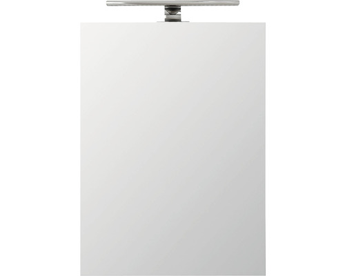 LED-spiegelkast met 1 deur, wit, 45x60 cm, IP 44 (beschermd tegen vreemde voorwerpen en spatwater)