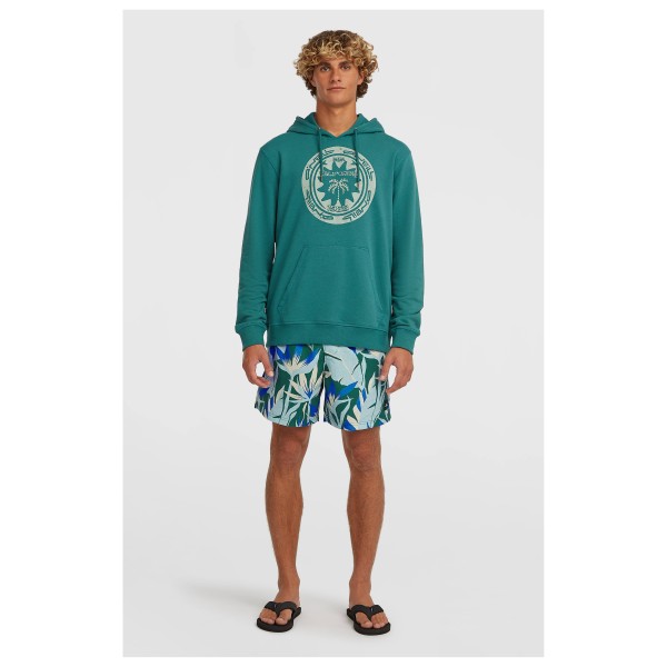 O'Neill - Musthave Graphic Hoodie - Sweat à capuche