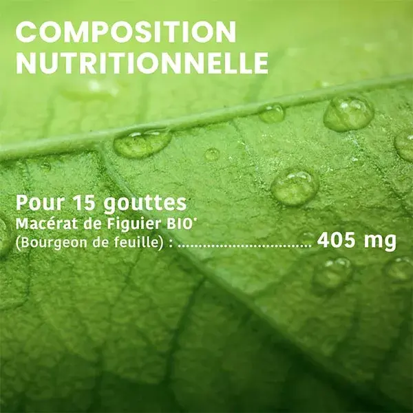 Santarome Orgânico - Broto de Figo Orgânico - Gemoterapia - Frasco de 30ml