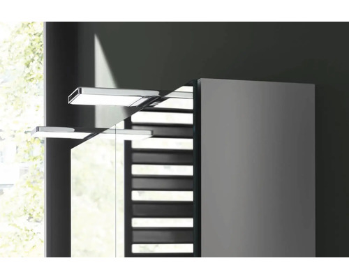 Emco Pure 2 spiegelkast, 80 x 15,3 x 72,1 cm, aluminiumkleurig, 2-deurs, LED, IP20