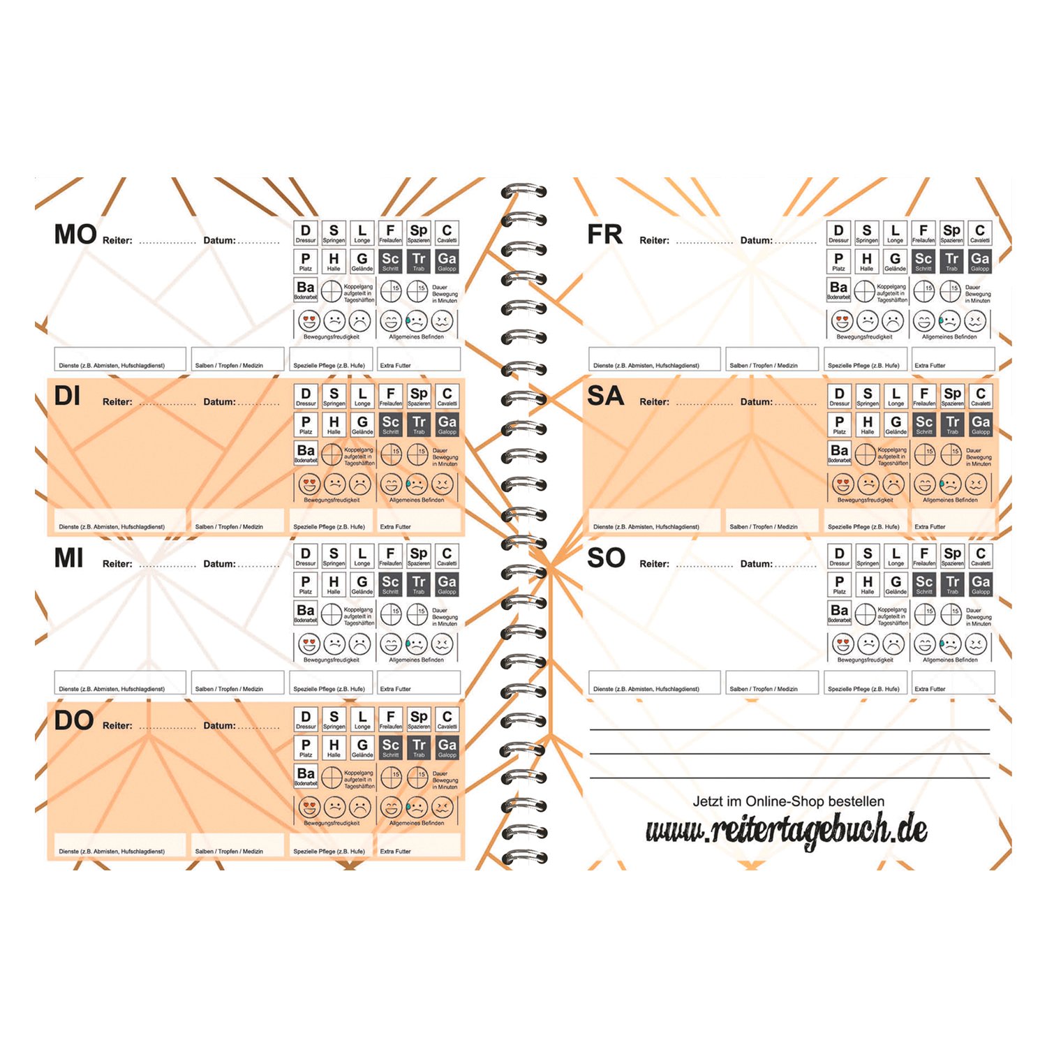 Reitertagebuch - Exklusiv Edition Dauerkalender