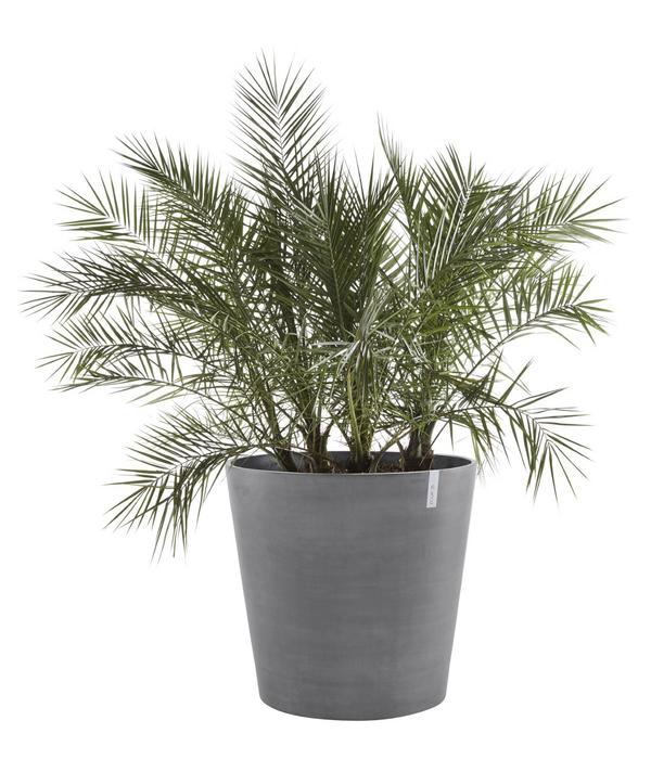 Ecopots Kunststoff-Topf Amsterdam mit Rollen,