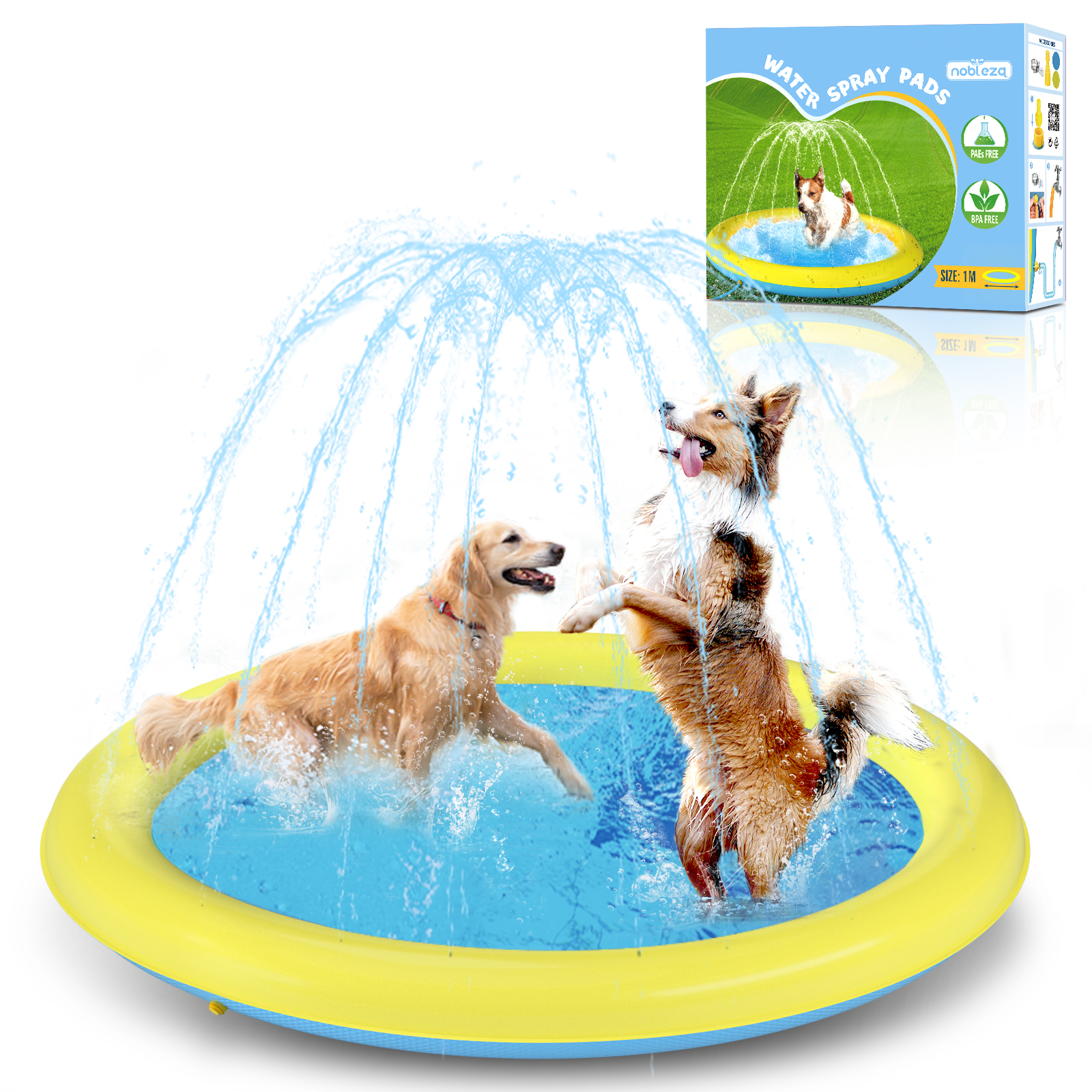 Piscina Nobleza para Cães de Grande Porte
