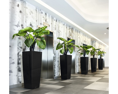 Lechuza Cubico Alto 40 plantenbak complete set H 105 cm zwart